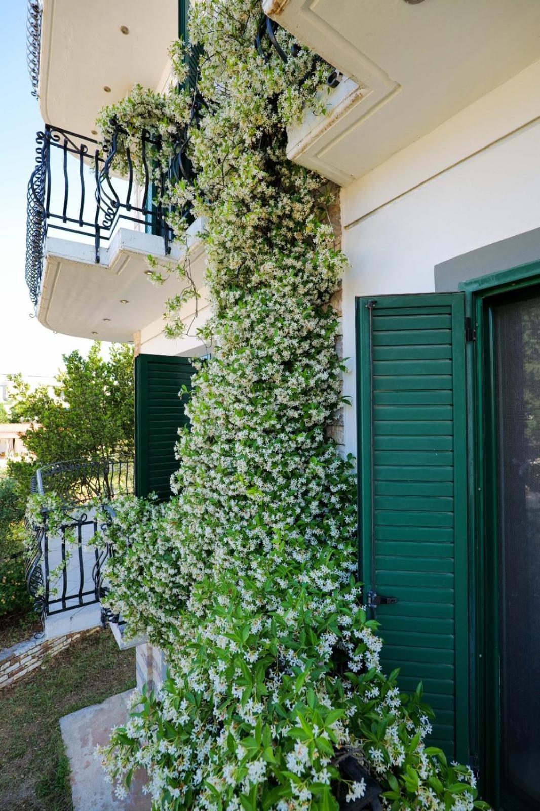 Sea La Vie Apartments Ksamil Eksteriør billede
